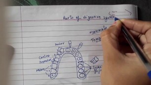 'Digestive system /science video, digestive system anatomy/ RPSC FOOD SAFETY OFFICER 2019'