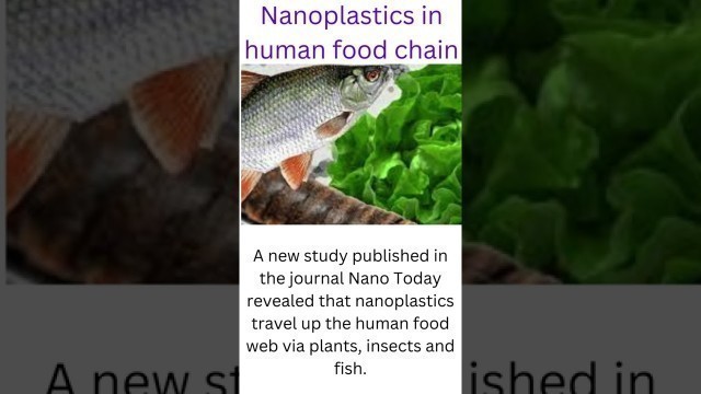 'Nanoplastics in human food chain'