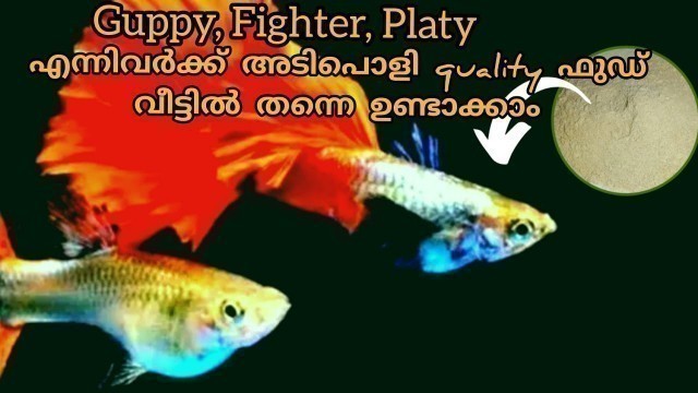 'How to Make Fish Food|Guppy Fighter Platy fish Food|Malayalam|'