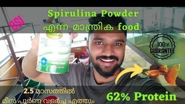 '#Spirulina Powder | Magic Food | മികച്ച വളർച്ചയ്ക്ക് | 62% Protein | Guppy Media