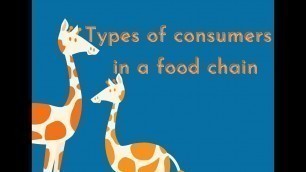 'Types of consumers in a food chain I Types of consumers in  an ecosystem I'