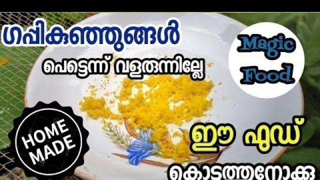 'ഗപ്പി കുഞ്ഞുങ്ങൾക്കും വലിയ ഗപ്പികൾക്കും കൊടുക്കാവുന്ന ഫുഡ് വീട്ടിൽ ഉണ്ടാക്കാം | Home made guppy food'