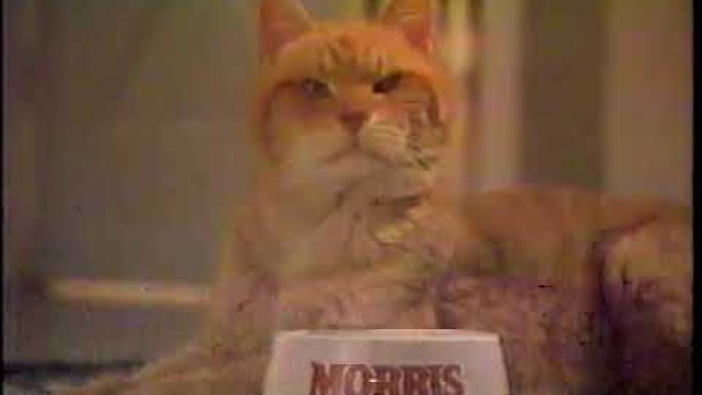 'Morris The Cat 1978 Nine Lives Cat Food Commercial'