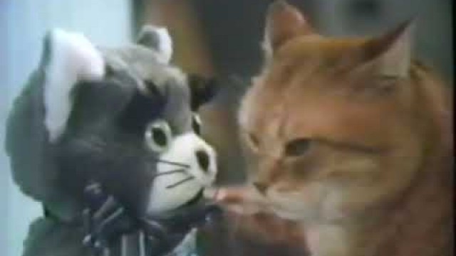 'Morris the Cat With Stuffed animal 9 Lives Cat Food TV Ad Commercial'