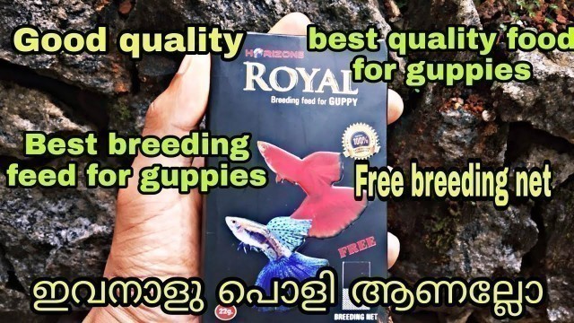 'Royal guppy food full review in Malayalam | ഗപ്പികൾക്ക് ഏറ്റവും നല്ല തീറ്റ Royal | Rocking Romson |