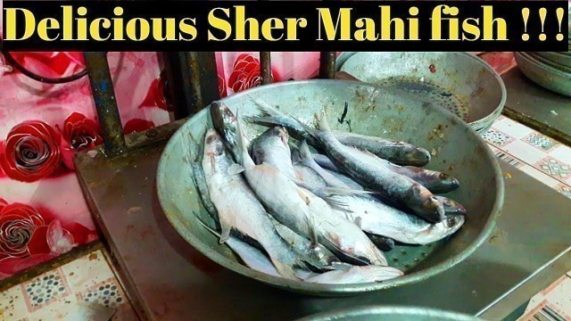 'Best grilld fish Peshawar very delicious Sher Mahi Fish  | Pakistani food street'