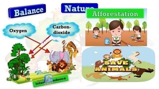 'Food chain &  Causes of Imbalance in Nature'