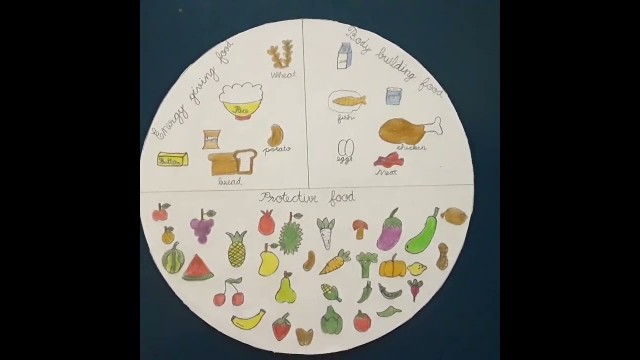 '3 Types of food drawing | Energy giving food | Body building food | Protective food | EVS #shorts'