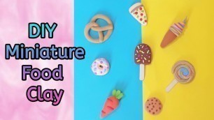 'DIY Miniature Food Clay'