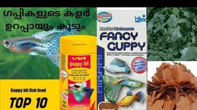 'BEST FOOD FOR GUPPY/TOP 10 FOODS FOR FANCY GUPPIES'