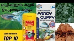 'BEST FOOD FOR GUPPY/TOP 10 FOODS FOR FANCY GUPPIES'