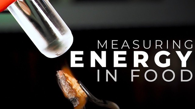 'SRL BIO: Measuring the Energy in Food (GCSE Biology)'