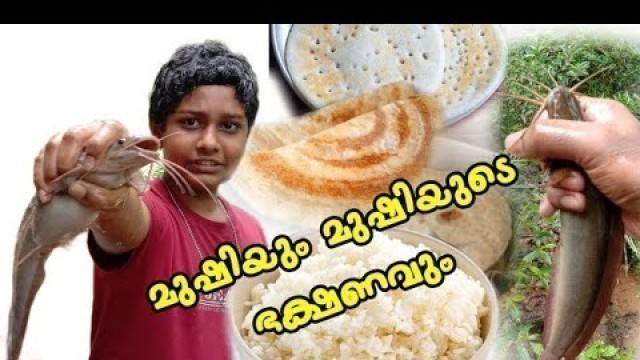 'മുഷിക്ക് ഭക്ഷണം കൊടുക്കുക 