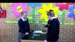 'Year 8 Science Energy in food experiment 2010.mov'