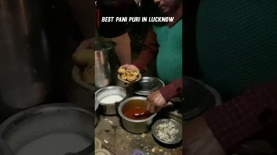 'Best Pani Puri In Lucknow | #Shorts #StreetFood #IndianStreetFood #YouTubeShorts | The Game Flix'