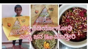 'Healthy food/ chart ಪೇಪರ್/ ಹೆಸರುಕಾಳಿನ ಸಲಾಡ್ /ಪಲ್ಯ  (sprouts 