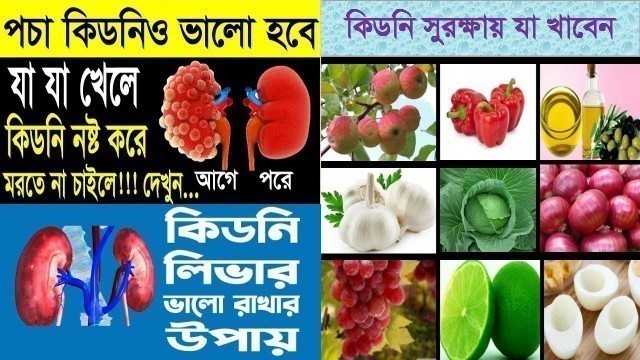 'Kidney patient diet plan Diet chart for Kidney Patients Kidney patient food chart in bangla'