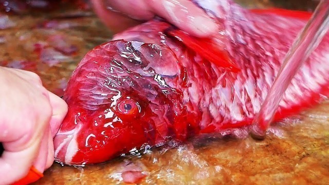 'Japanese Street Food - RED BEAKFISH Sushi Fried Seafood Soup Okinawa Japan'