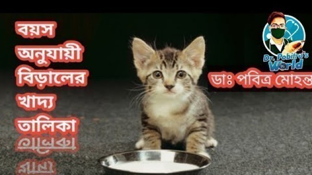 'বয়স অনুযায়ী বিড়ালের খাদ্য তালিকা || Cat Food Chart As Per Ages'