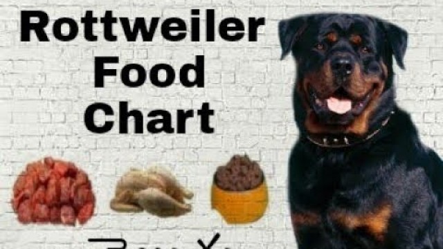 'Rottweiler Food Chart and Diet Chart in Telugu | Taju logics'