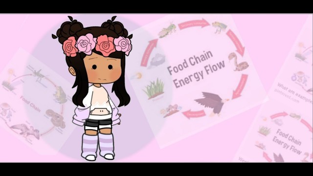 'Food Chains With Joe (I guess)'