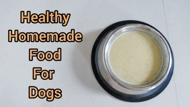 'Healthy Home made food for Labrador puppy | Labrador puppy food chart in tamil'