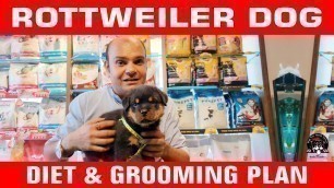 'Rottweiler - Diet & Grooming Plan | Full-Day Food Chart For Puppy & Dog In Hindi | Baadal Bhandaari'