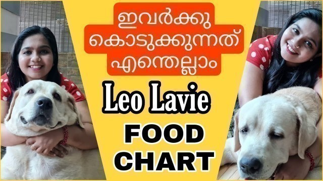 'Leo Lavie Food Chart | Labrador Food | Adult Dog Food Schedule | Pet Vlogs Malayalam'