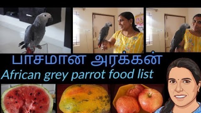 'The smartest African grey parrot || African grey parrot food chart in tamil || my favourite pet'