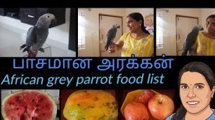 'The smartest African grey parrot || African grey parrot food chart in tamil || my favourite pet'