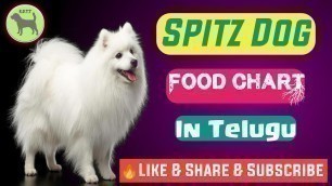 'Spize Dog Food chart in Telugu ||spize dog diet chart || Rottweiler dog training'