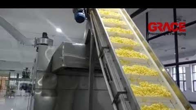 'Extruded Corn Puffs Snack Production Line | www.GraceFoodPack.com'