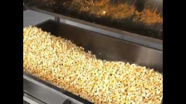 'pop corn masala mixture machinery contact.9871830528'