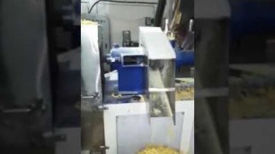 'Kurkure Nik Naks Type Snacks Making Machine Manufacturer by Grace Machinery INDIA'