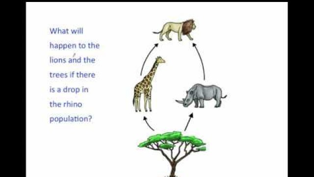 'Predicting Population Changes in Food Chains and Webs'