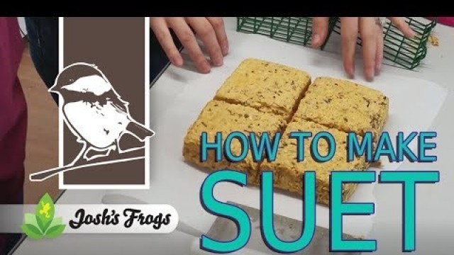 'How to Make Suet: A Fat and Calcium Rich Bird Food'