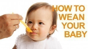 'Baby Feeding Tips (Part 1): Weaning Your Baby'