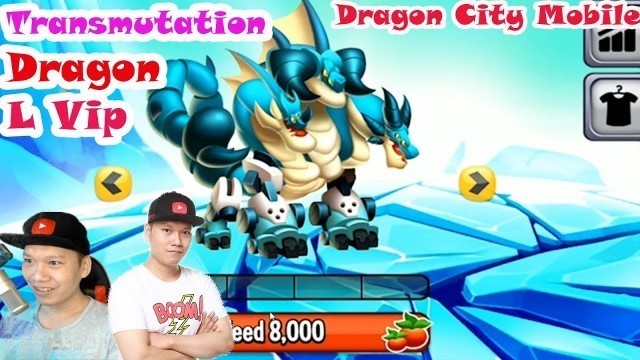 'Transmutation Dragon Vip L Fan Dragon City Fast Food Island Completed 2019 