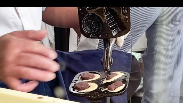 'japanese street food -  pigeon shaped taiyaki'