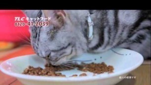 'TLC CAT FOOD AD'