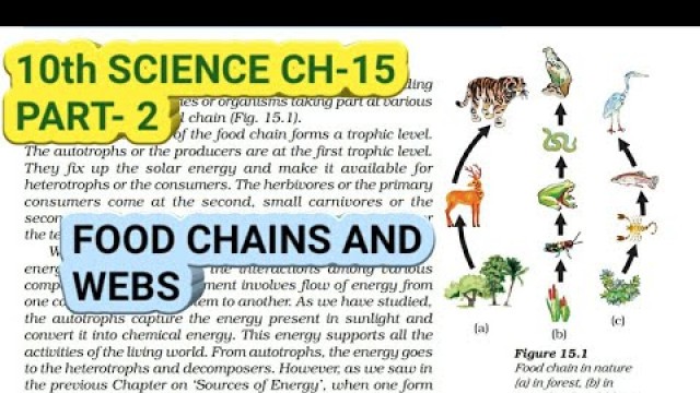 '10th Science Ch-15 || Part-2 || Food chains & webs || Study with Farru'