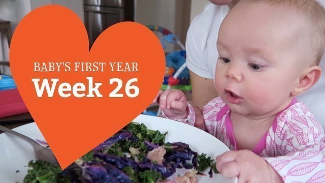 '6 Month Old Baby (26 Weeks) - Your Baby’s Development, Week by Week'