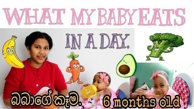 'WHAT MY BABY EATS IN A DAY/6 MONTHS OLD/SINHALA/ITALY/SRI LANKA'