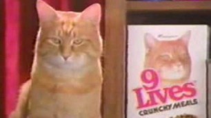 '9 LIVES CAT FOOD COMMERCIAL'