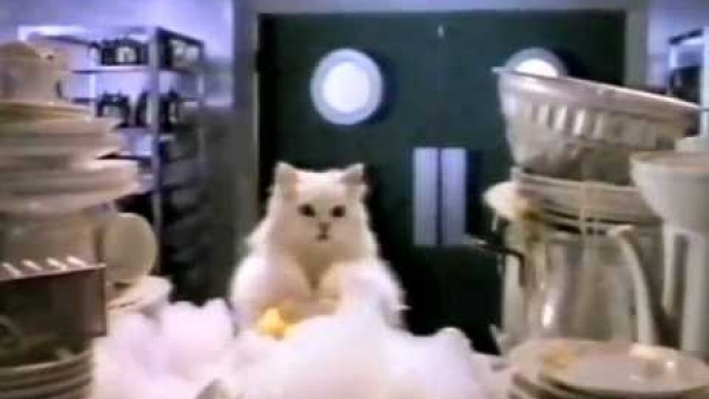 'Gourmet Cat Food Commercial (NZ)'