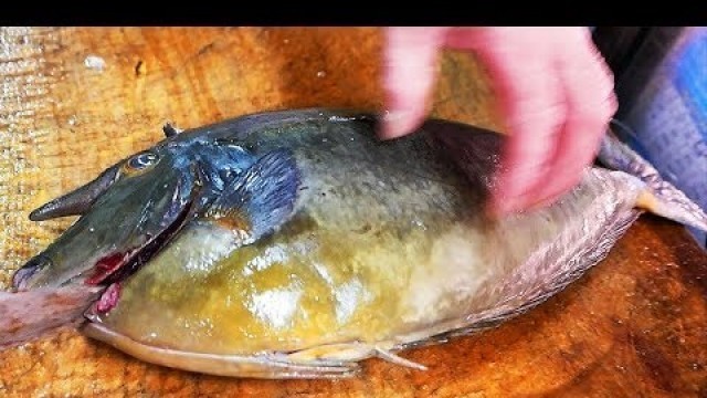 'Japanese Street Food - UNICORN FISH Sashimi Seafood Okinawa Japan'