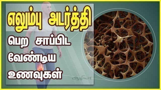 'Calcium Rich Foods in Tamil | எலும்பு அடர்த்தி  பெற | Osteoporosis in Tamil'