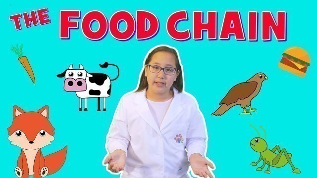 'Check out these Food Chain Facts'