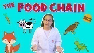 'Check out these Food Chain Facts'