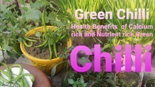 'Green Chilli - Health Benefits of  Calcium rich, Nutrient  rich Green Chilli.'